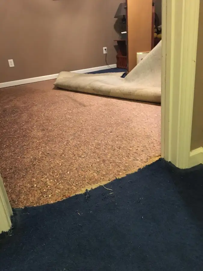 Carpet pad removal revealing water damage during Drying & Dehumidification in Redford