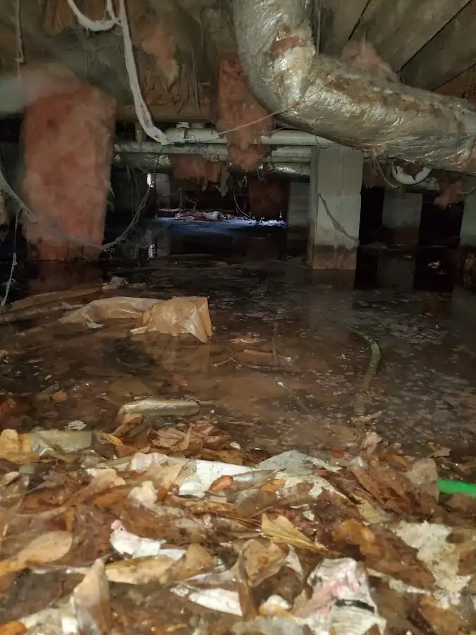 Crawl space flood assessment for Leak Detection & Repair in Redford